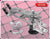 RACING FOOTREST RIDER AND PILLION