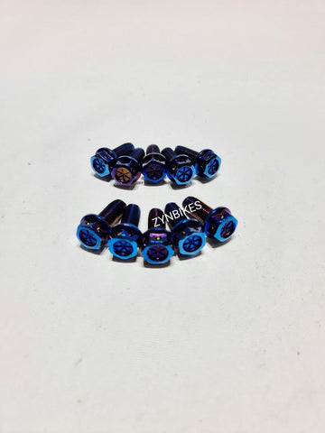 CALIPER SCREW
