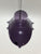 WINDSCREEN R15 V3