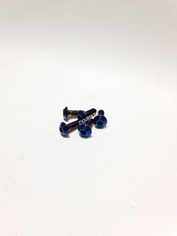 FRONT DISC PLATE SCREW
