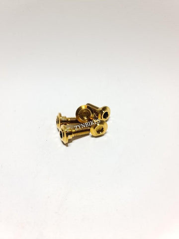 REAR DISC PLATE SCREW