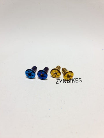 FRONT DISC PLATE SCREW
