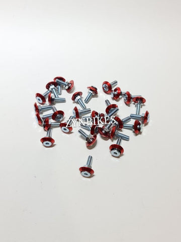 M6 COLOR SCREW