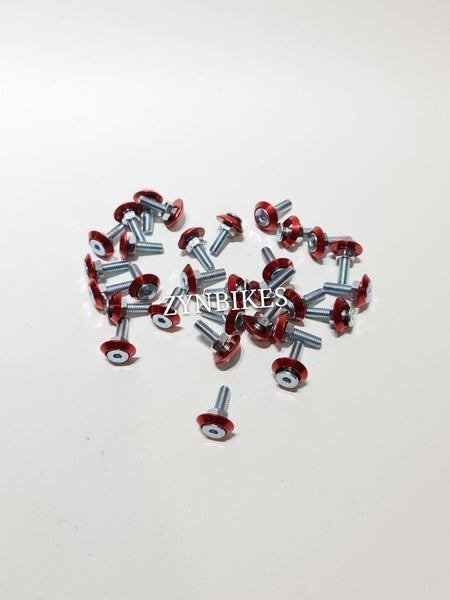 M6 COLOR SCREW