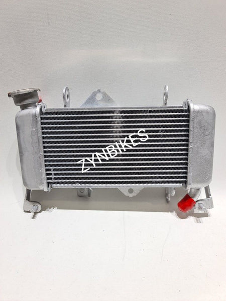 STANDARD RADIATOR YAMAHA R15 MT15 XSR 155