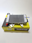 STANDARD RADIATOR HONDA RS150R WINNER