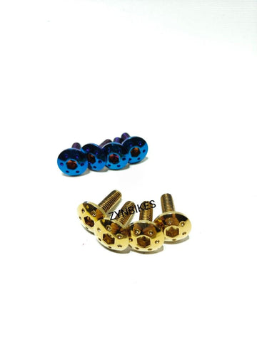 REAR FENDER SCREW
