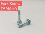 DOWN FORK SCREW