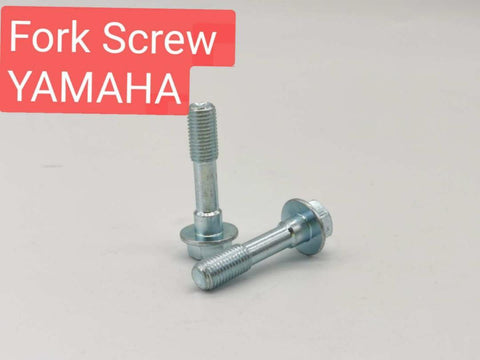 DOWN FORK SCREW