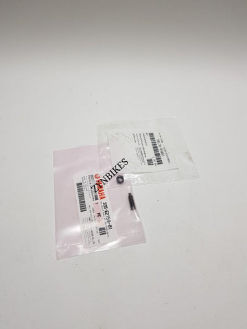VALVE ADJUSTER SCREW