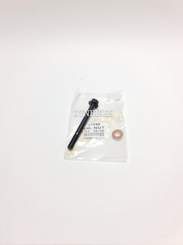 DRAIN NUT SCREW