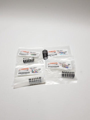 CLUTCH SPRING YAMAHA Y125Z