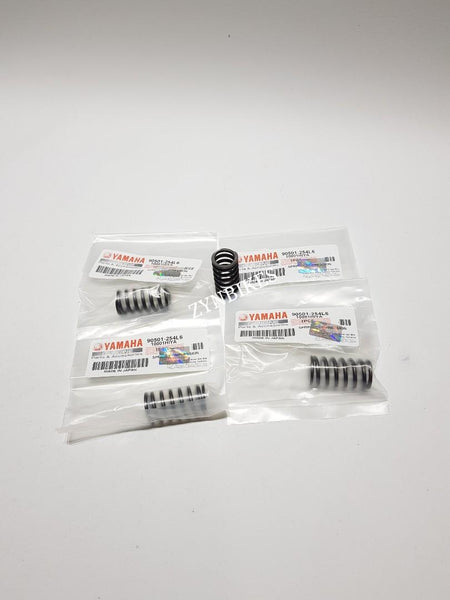 CLUTCH SPRING YAMAHA Y125Z